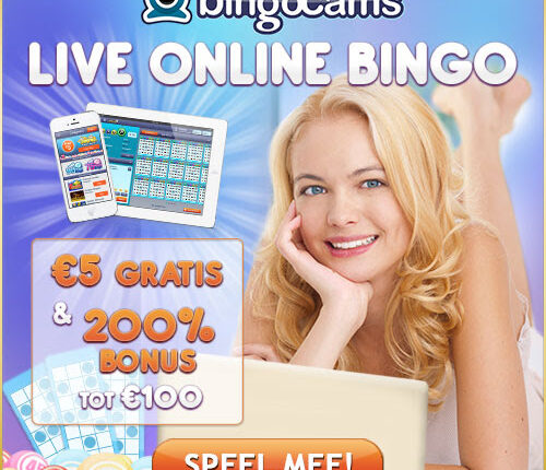 Bingocams Casino review