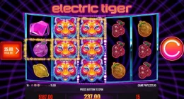 Electric Tiger Slot Review