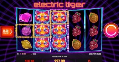 Electric Tiger Slot Review
