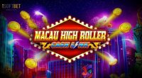 Macau High Roller Slot Review