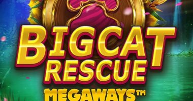 big cat rescue megaways
