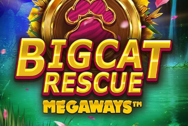 big cat rescue megaways